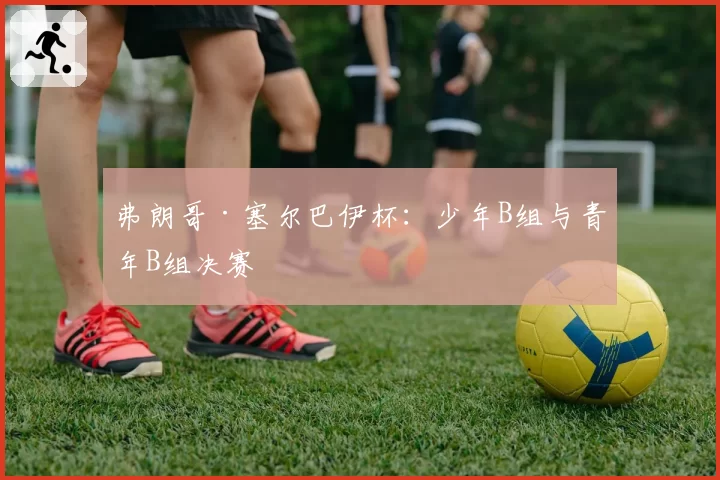 弗朗哥·塞尔巴伊杯：少年B组与青年B组决赛