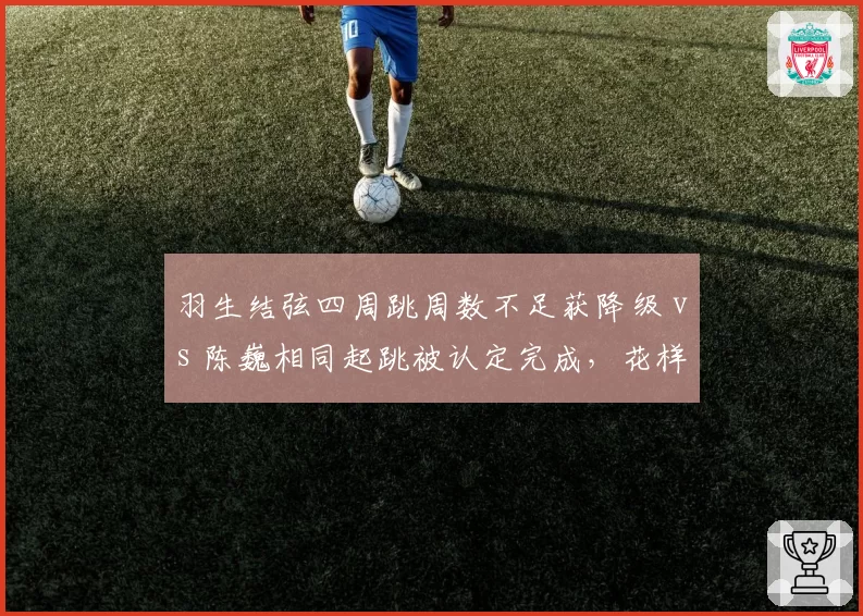 羽生结弦四周跳周数不足获降级 vs 陈巍相同起跳被认定完成,花样滑冰技术裁判打分模型遭质疑