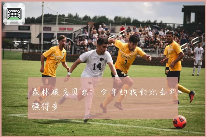 森林狼戈贝尔:今年的我们比去年强得多