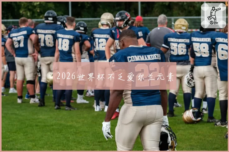 2026世界杯不乏爱尔兰元素